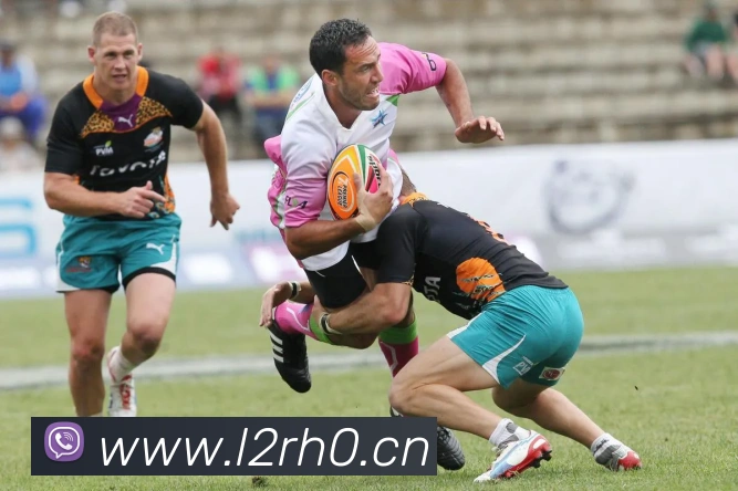 九游网页版入口登录全站App